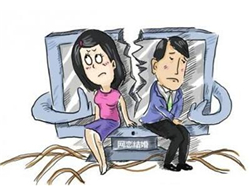 �x��m������-�W(w��ng)�ٕr(sh��)������(y��ng)ϧ��