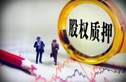 ����؟(z��)�ι�˾�ə�(qu��n)�|(zh��)Ѻ��(d��n)�����Ɇ��}