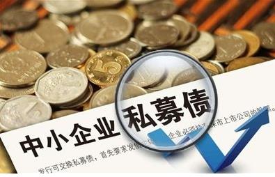 企業(yè)債務(wù)