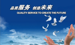 ��͢�Ɏ��ܞ�����ʲô��